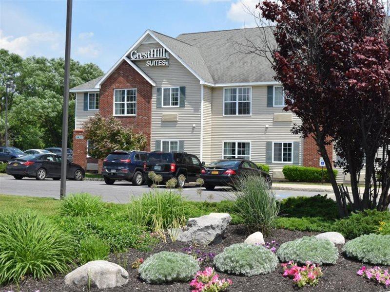Cresthill Syracuse 3*